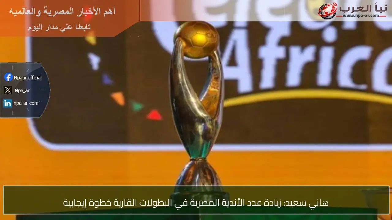 هاني سعيد: زيادة عدد الأندية المصرية في البطولات القارية خطوة إيجابية