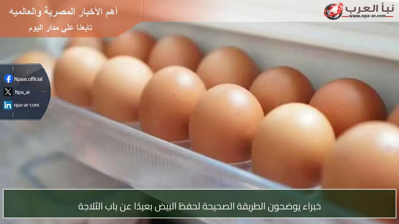 خبراء يوضحون الطريقة الصحيحة لحفظ البيض بعيدًا عن باب الثلاجة