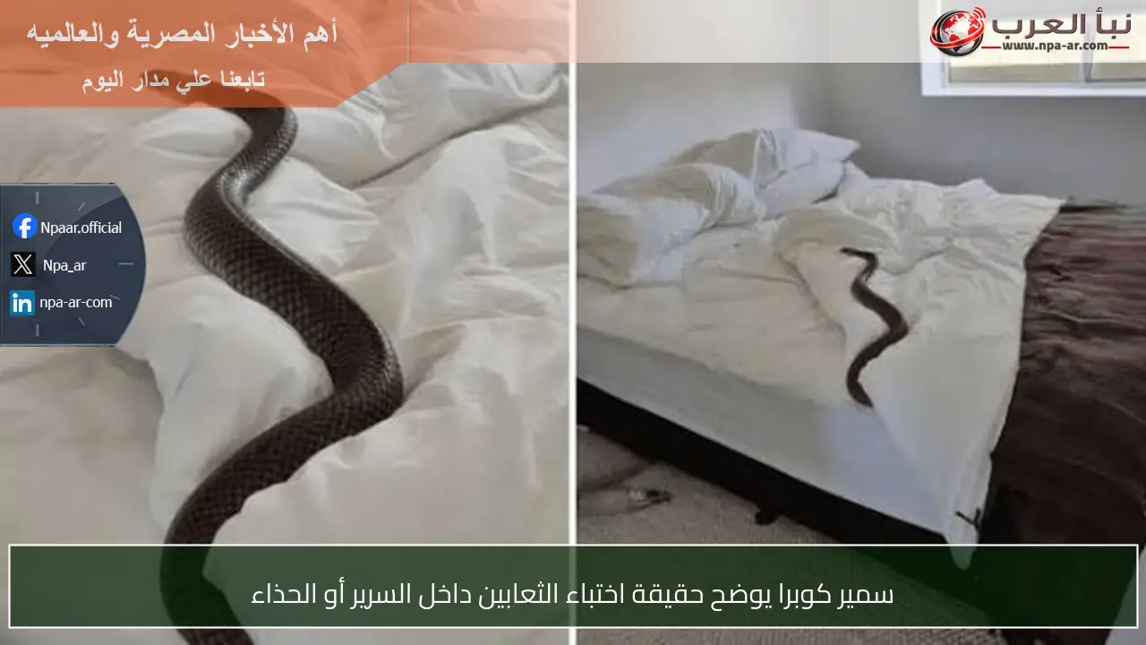 سمير كوبرا يوضح حقيقة اختباء الثعابين داخل السرير أو الحذاء
