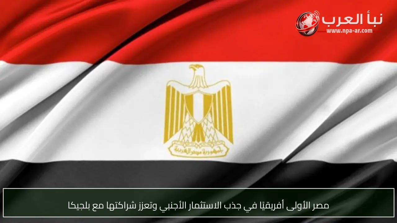 مصر الأولى أفريقيًا في جذب الاستثمار الأجنبي وتعزز شراكتها مع بلجيكا