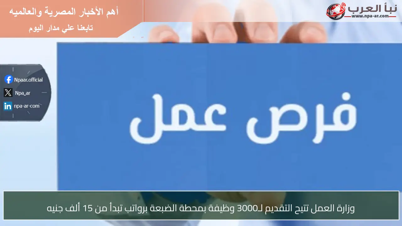وزارة العمل تتيح التقديم لـ3000 وظيفة بمحطة الضبعة برواتب تبدأ من 15 ألف جنيه