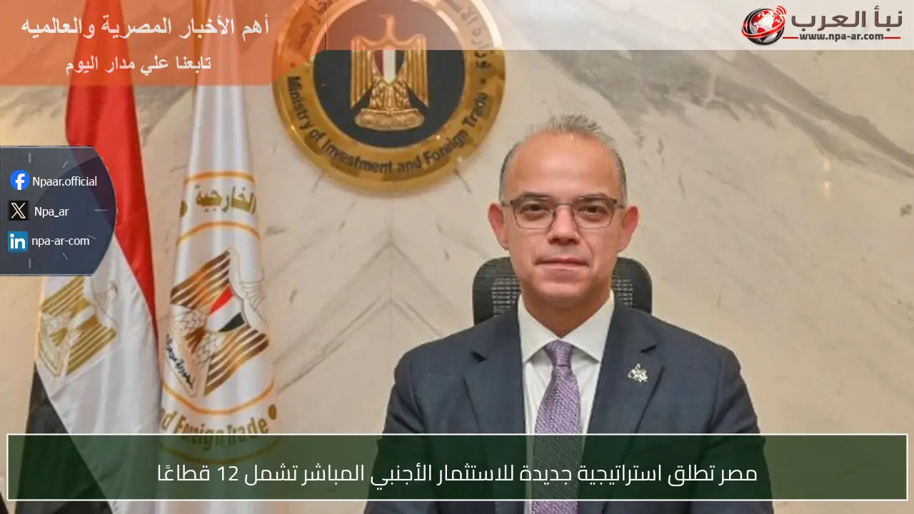 مصر تطلق استراتيجية جديدة للاستثمار الأجنبي المباشر تشمل 12 قطاعًا