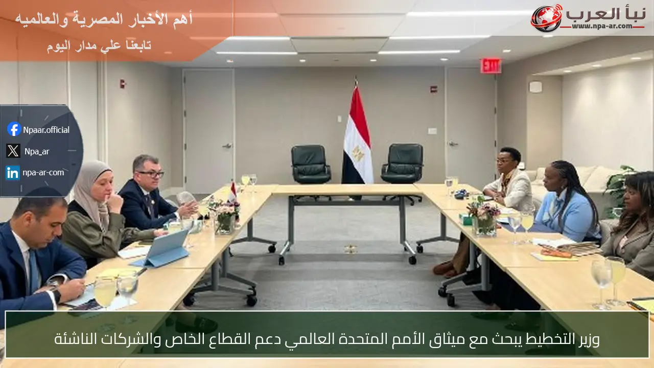 وزير التخطيط يبحث مع ميثاق الأمم المتحدة العالمي دعم القطاع الخاص والشركات الناشئة