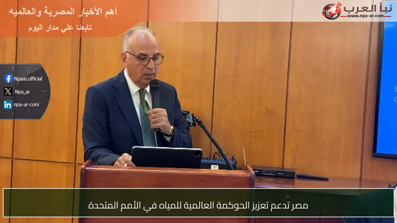 مصر تدعم تعزيز الحوكمة العالمية للمياه في الأمم المتحدة