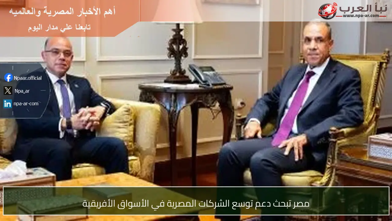 مصر تبحث دعم توسع الشركات المصرية في الأسواق الأفريقية