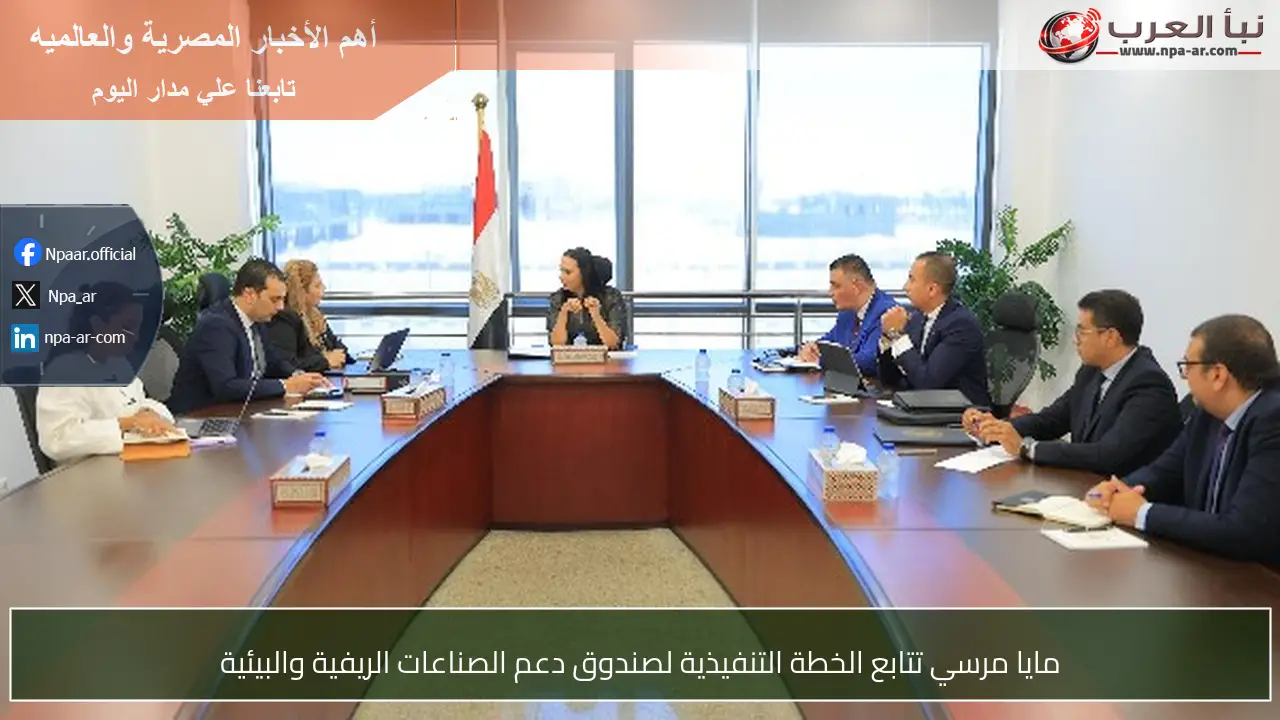 مايا مرسي تتابع الخطة التنفيذية لصندوق دعم الصناعات الريفية والبيئية