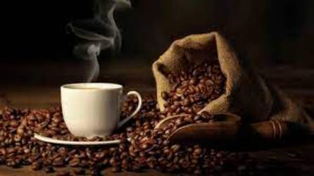 ماهي فوائد واضرار القهوة