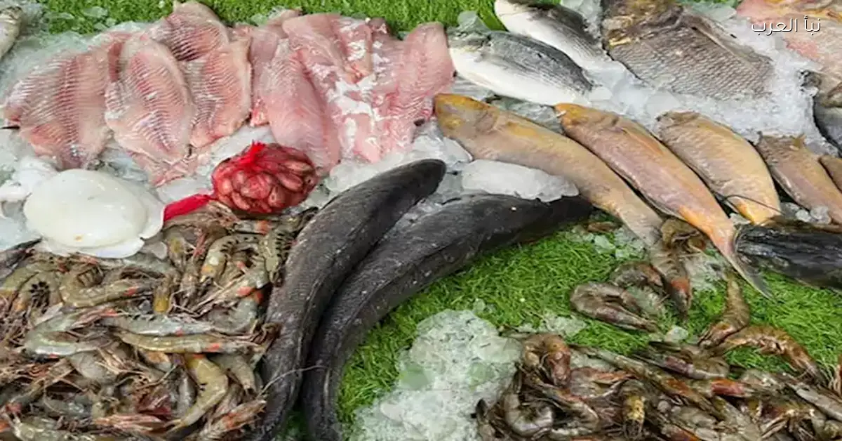 ارتفاع أسعار الأسماك والمأكولات البحرية في سوق العبور