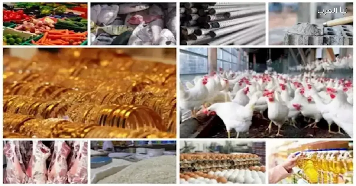 أسعار المواد الغذائية والمعادن ترتفع اليوم في الأسواق