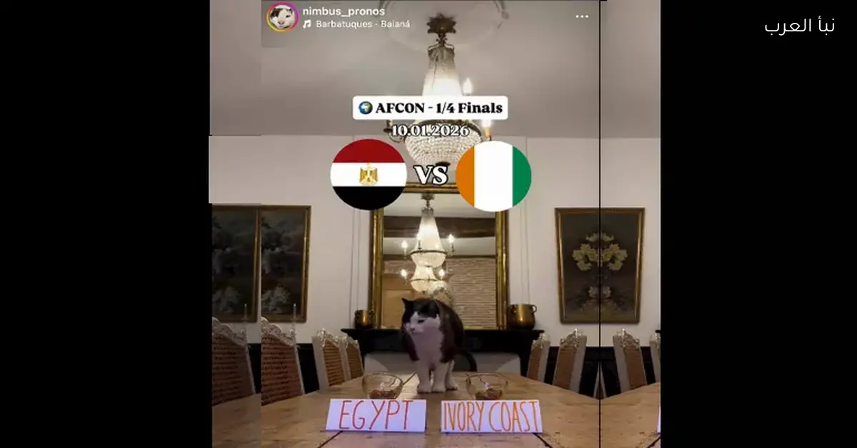 القط العراف يثير القلق في منتخب مصر قبل اللقاء المنتظر مع كوت ديفوار وتوقعاته تثير التساؤلات