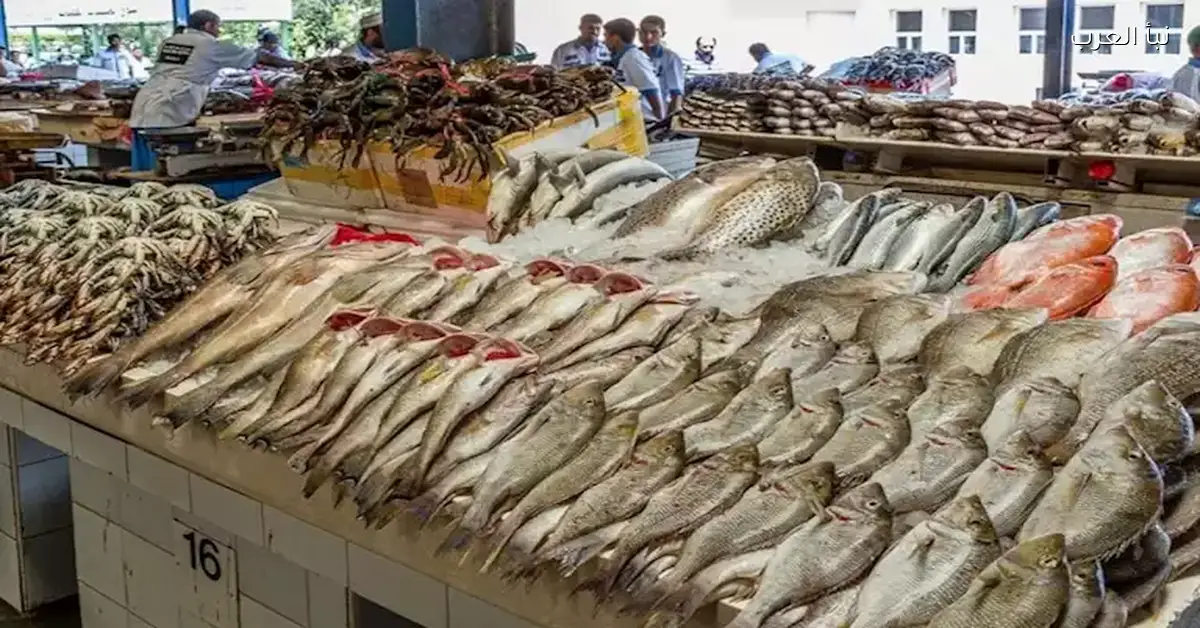 أسعار الأسماك والمأكولات البحرية تنخفض في سوق العبور