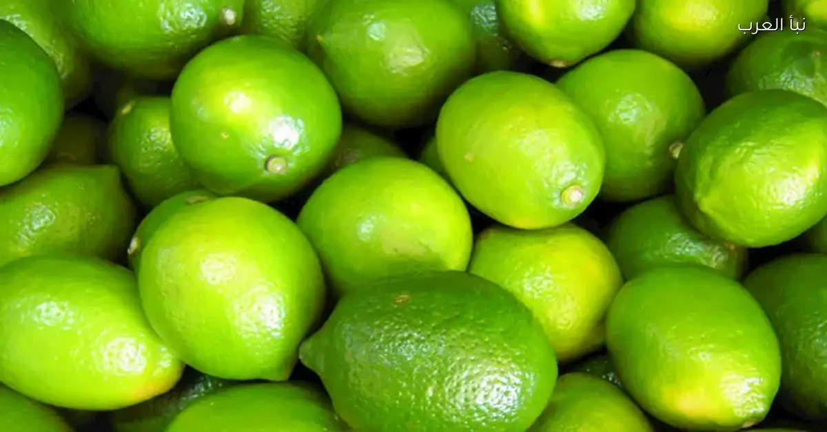 أسعار الخضروات والفاكهة في سوق العبور اليوم تتراجع