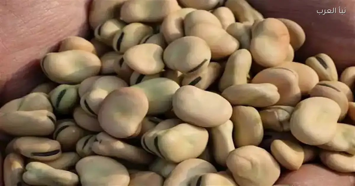 أسعار الفول والدقيق والزيت تنخفض اليوم في الأسواق