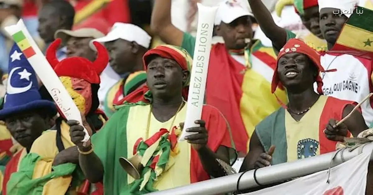 الأسد الثالث عشر يقود مدرجات السنغال في مواجهة مصر وسط تفاعل جماهيري كبير