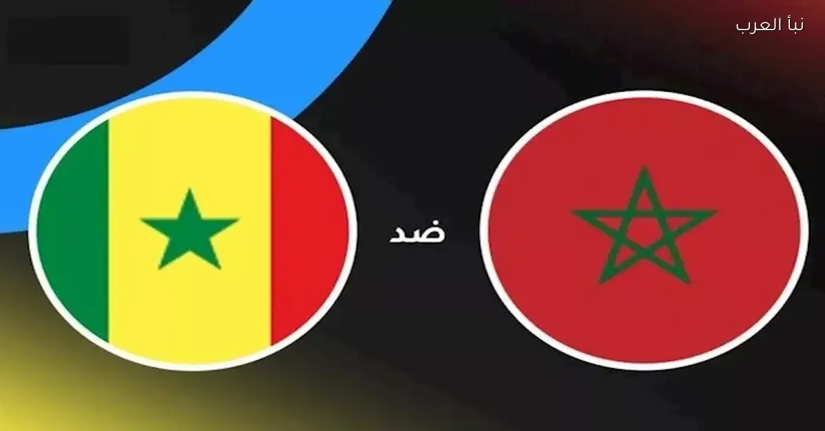 القط العراف يتنبأ بالفائز بكأس الأمم الأفريقية 2025