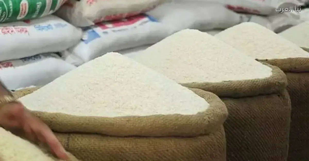 انخفاض أسعار الأرز والزيت والفول والدواجن في الأسواق اليوم