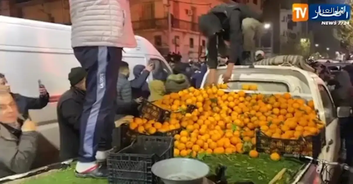 بائع برتقال جزائري يوزع الفاكهة على الجماهير احتفالا بفوز السنغال