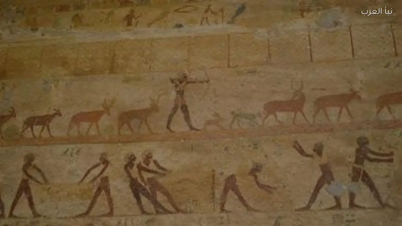 مقبرة خيتى في المنيا تكشف أسرار اليوجا والمصارعة لدى الفراعنة