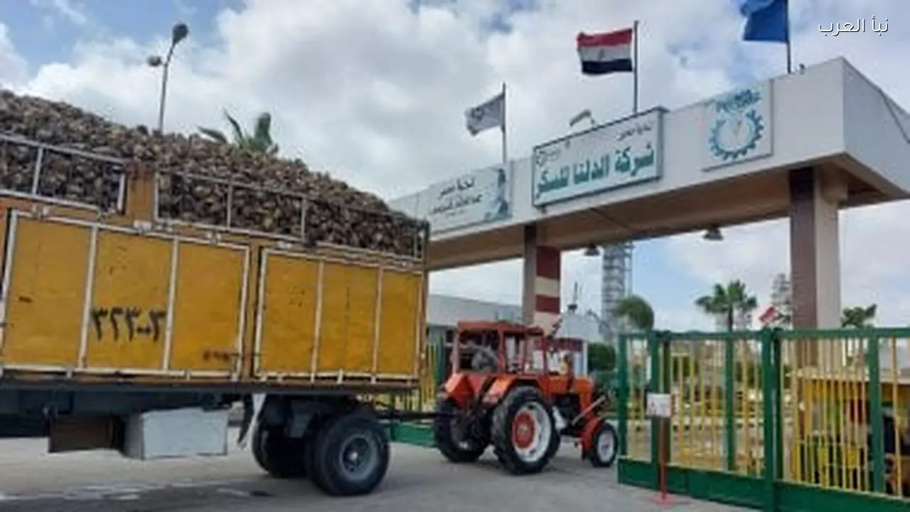 نقص الكاش وأزمة البيع بسبب 8.5 مليار جنيه مخزون راكد في الدلتا للسكر