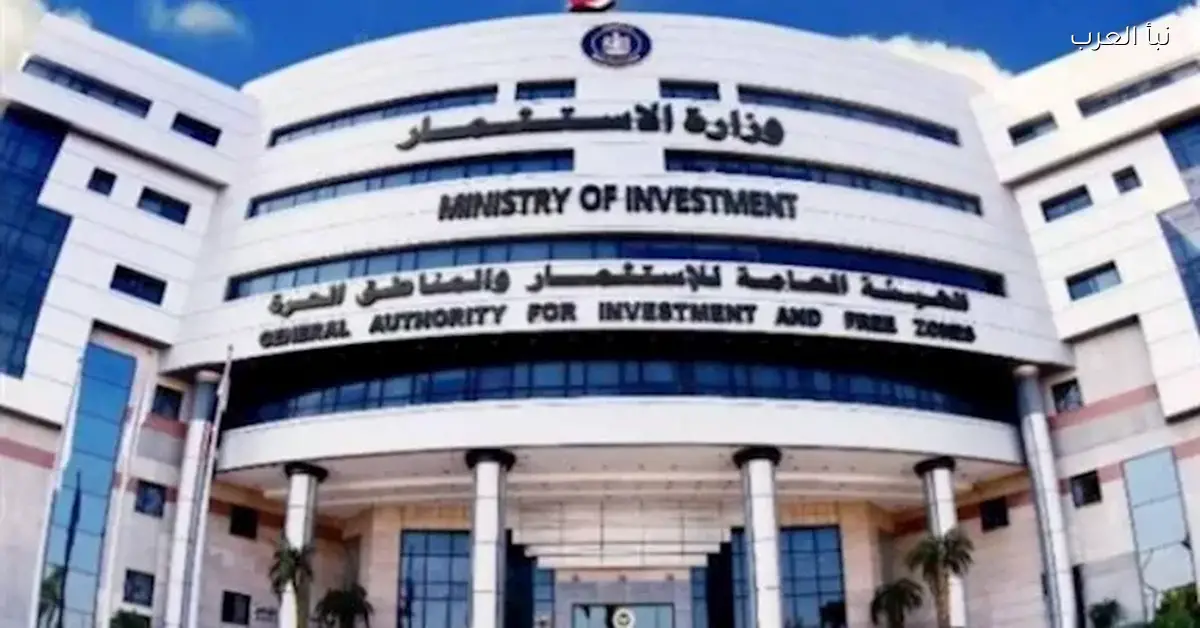 وزارة الاستثمار تصدر قرارًا لتنظيم السماسرة العقاريين