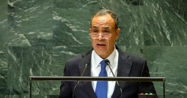 وزارة الخارجية تتابع أوضاع المصريين على سفينة في إيران