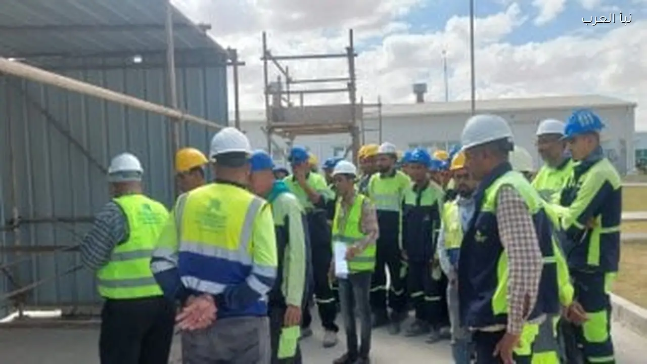 607 آلاف وظيفة شاغرة في القطاع الخاص لعام 2024