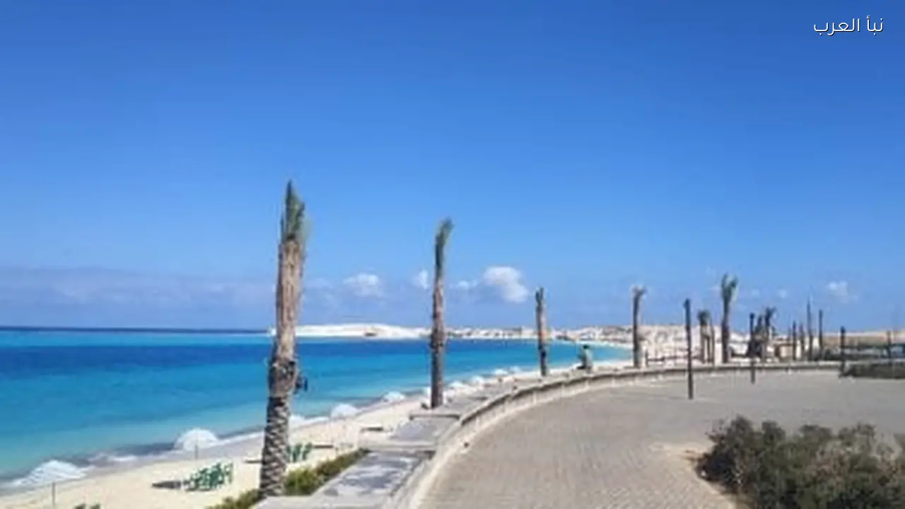 أجواء دافئة اليوم في فصل الشتاء مع درجات حرارة مرتفعة