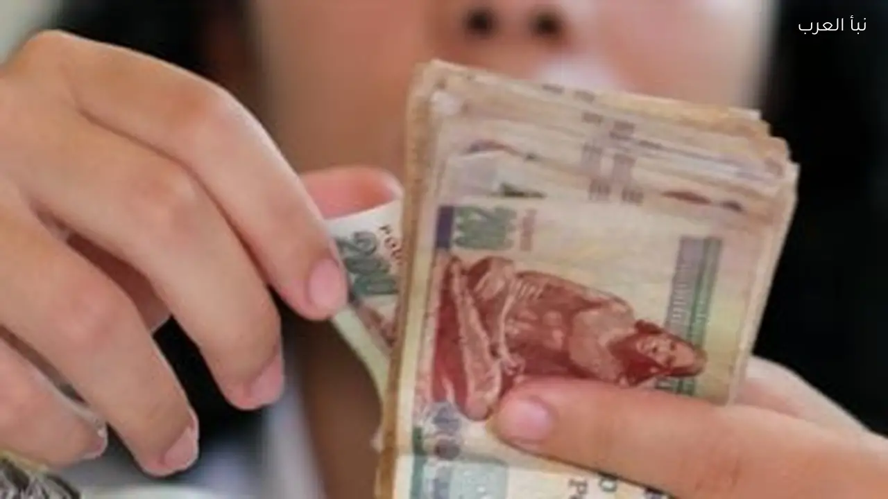 أرض للبيع لأعلى سعر وتسييل أصول شركات البورصة بمليارات الجنيهات