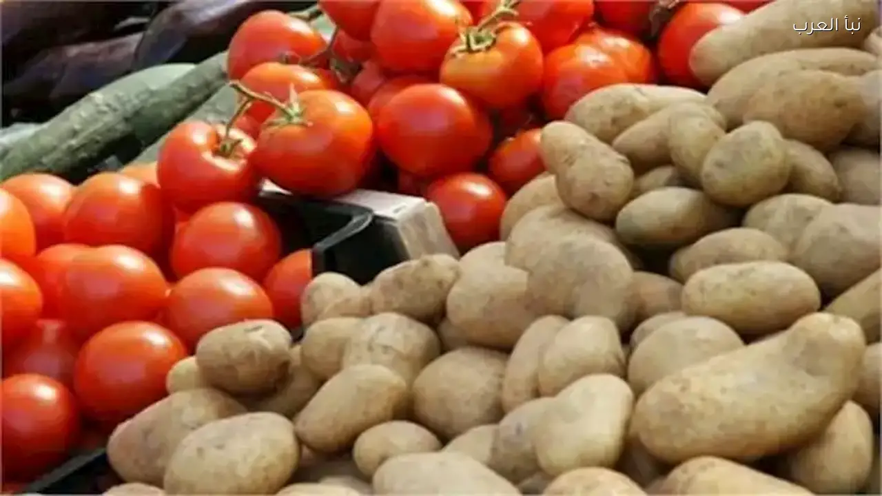 ارتفاع أسعار الطماطم والخضروات في سوق العبور
