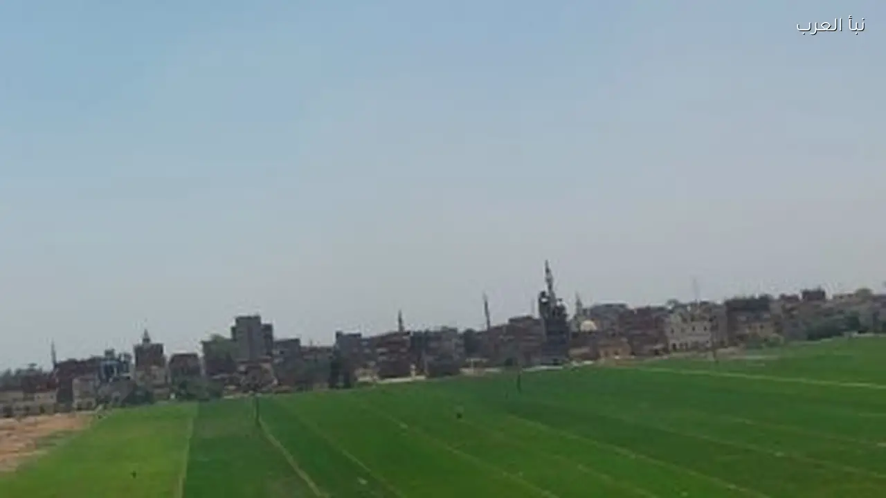 ارتفاع تدريجي في درجات الحرارة بدءًا من اليوم حتى 10 فبراير