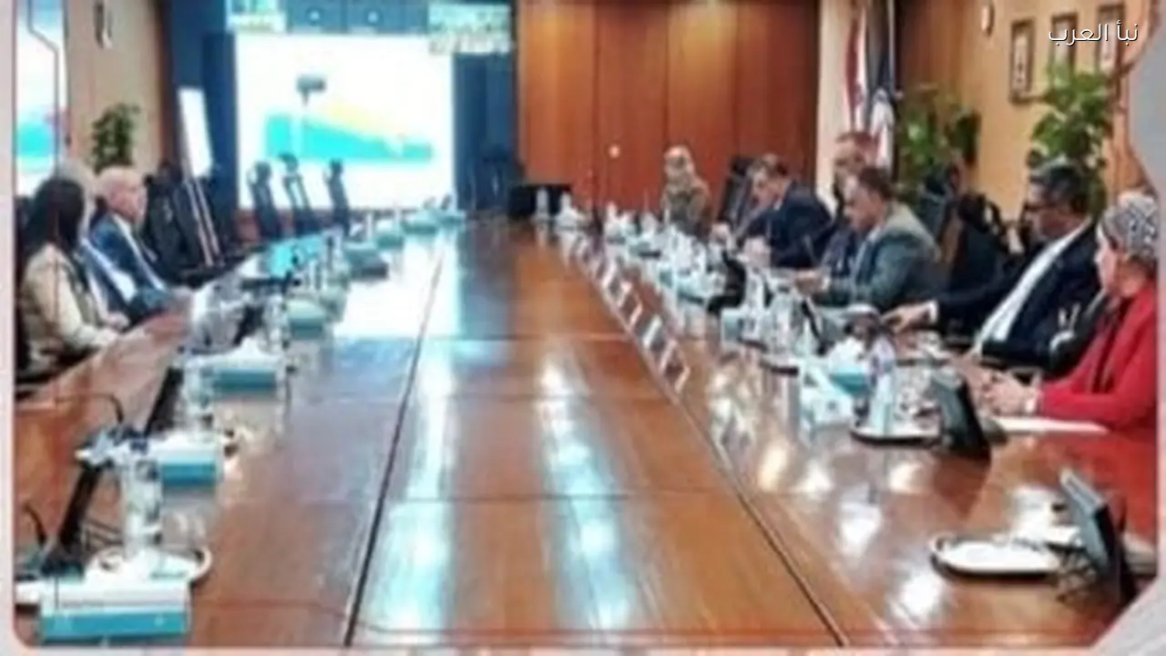 استثمار 100 مليون دولار لزيادة إنتاج شمال سيناء وبتروزنيمة وبتروملك