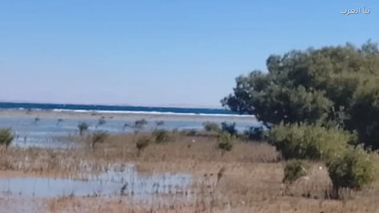 الأرصاد: القاهرة تشهد 30 درجة مع تغييرات مفاجئة في الحرارة خلال 48 ساعة