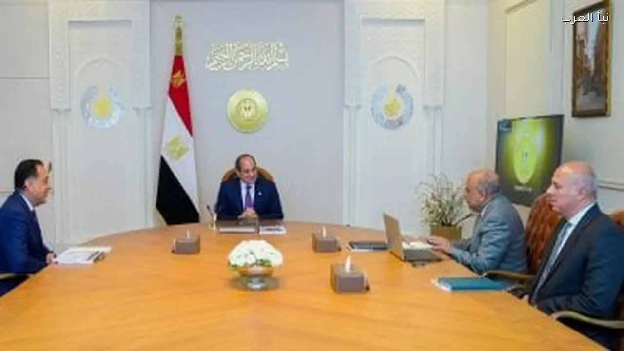 الرئيس السيسي يؤكد على أهمية توسيع مشروعات الطاقة المتجددة