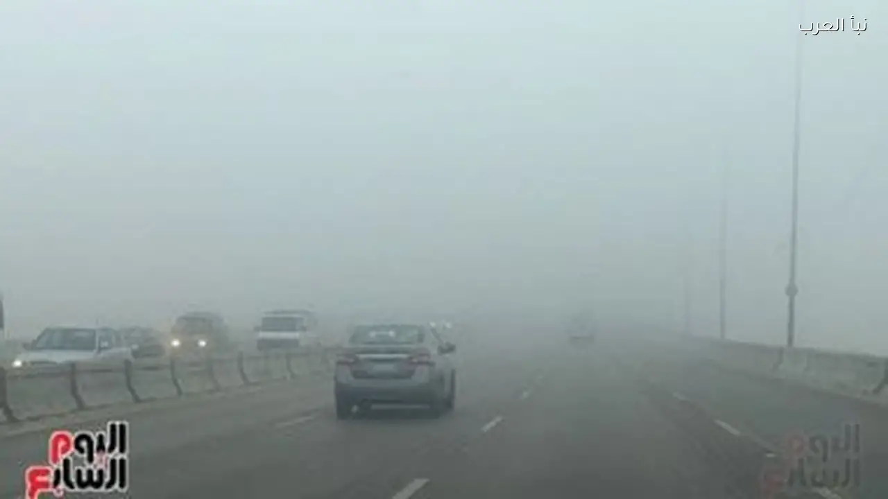 الطقس اليوم الأربعاء 4 فبراير 2026: شبورة ورياح محملة بالأتربة