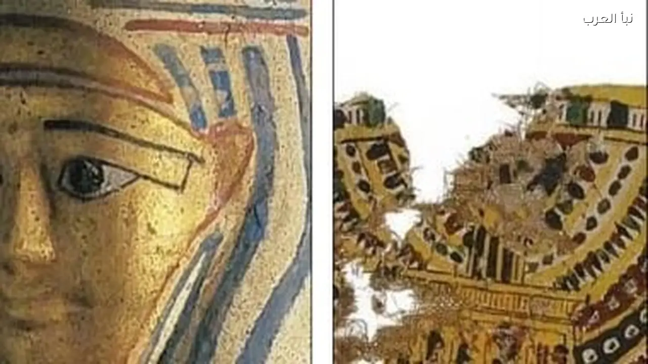 القبض على سارق قطع أثرية من متحف أسترالي بعد تحطيم نافذة