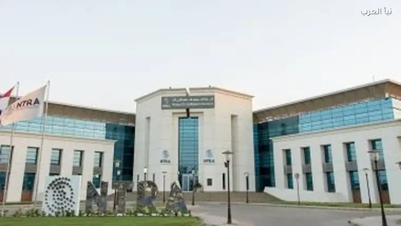 القومي للمرأة وتنظيم الاتصالات يطلقان بروتوكول تعاون لتمكين المرأة رقمياً