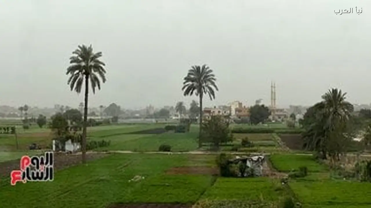 تمويل المشروعات الزراعية يصل إلى 17.5 مليار جنيه لـ680 ألف عميل