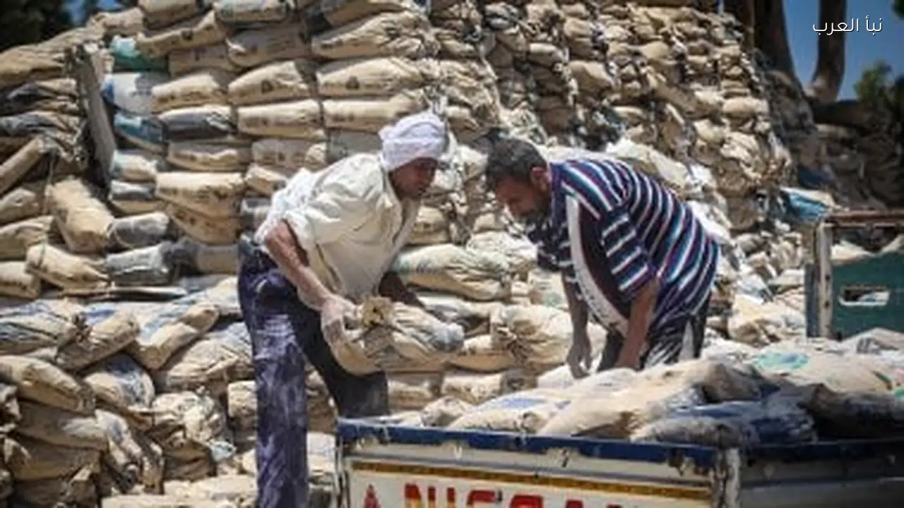 سعر الأسمنت اليوم الثلاثاء 3 فبراير 2026