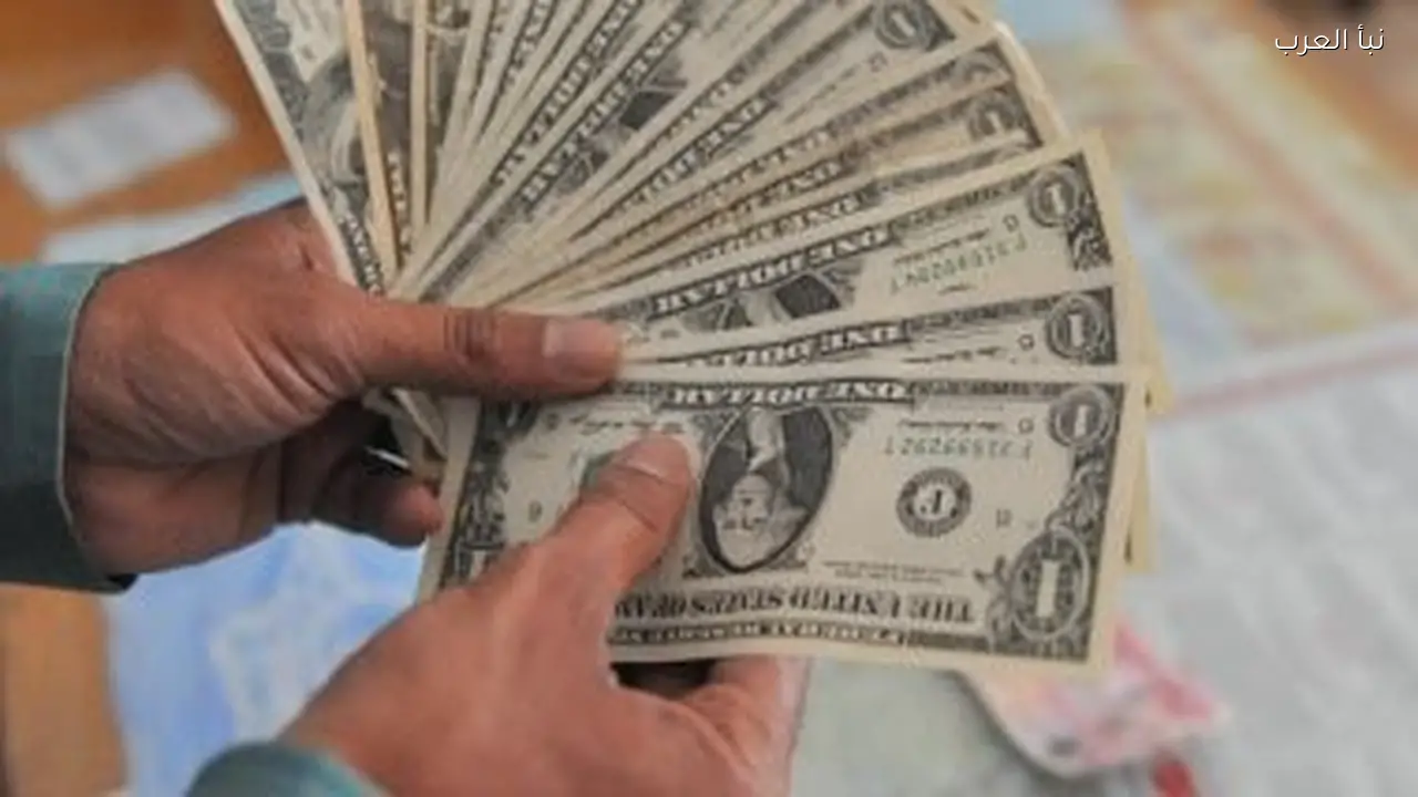 سعر الدولار في البنوك المصرية يبقى ثابتًا دون 47 جنيها
