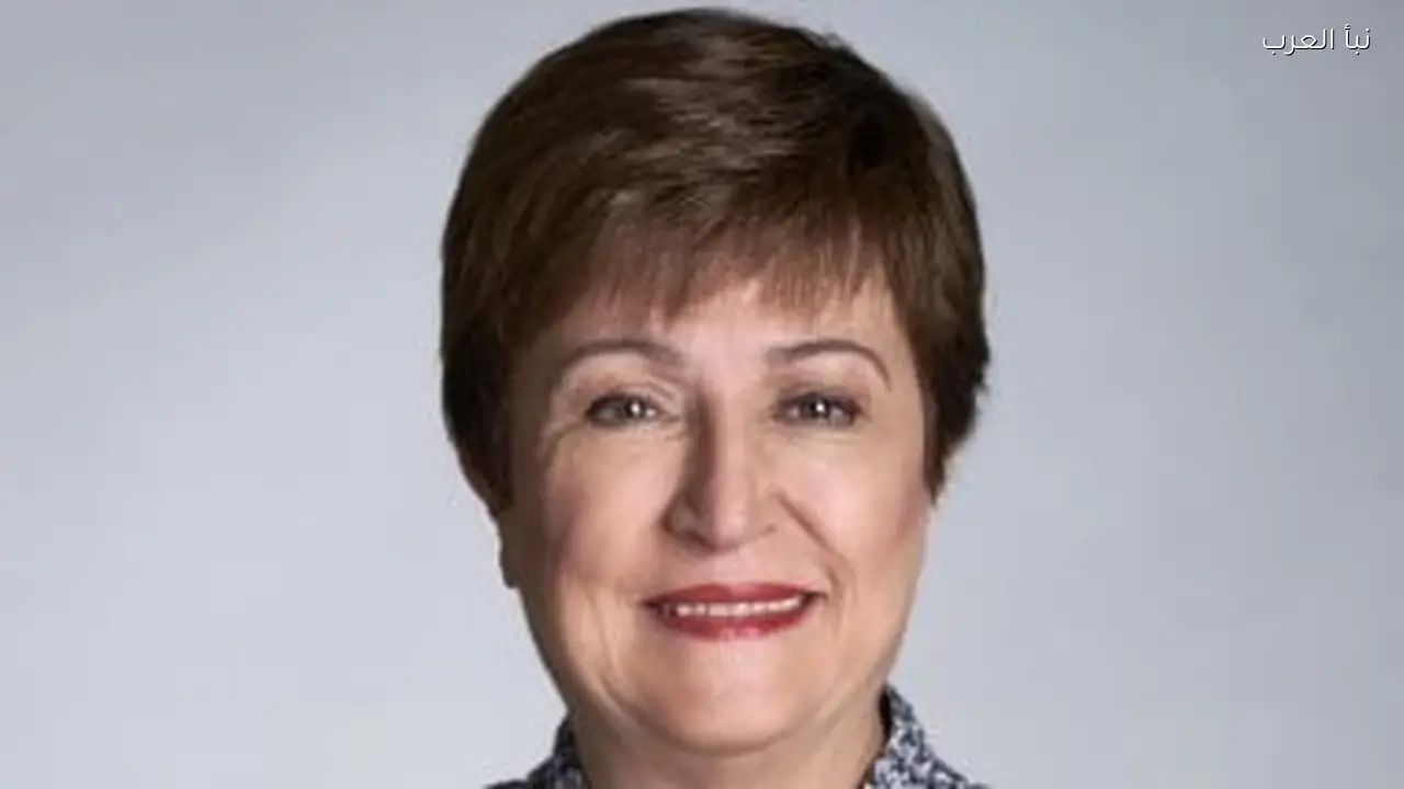 صندوق النقد الدولي يثني على تجربة مصر في رقمنة الضرائب