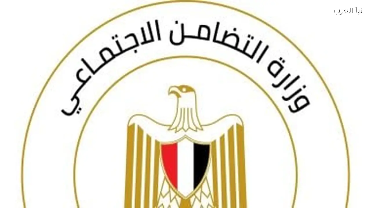 طرق التواصل مع وزارة التضامن للإبلاغ عن أطفال بلا مأوى