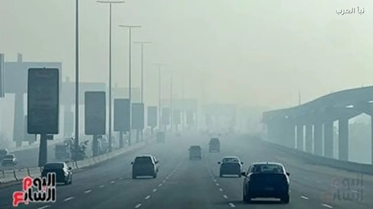 طقس الغد: شبورة كثيفة ودرجات حرارة مائلة للدفء بالقاهرة