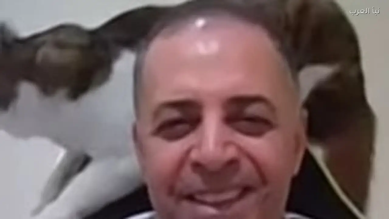 قطة تقتحم بثاً مباشراً وتقفز على كرسي الضيف