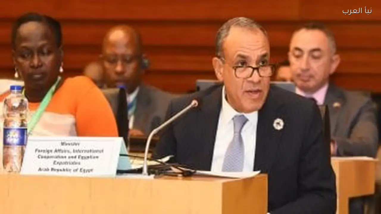 مصر تؤكد دعمها لاستعادة التراث الأفريقي