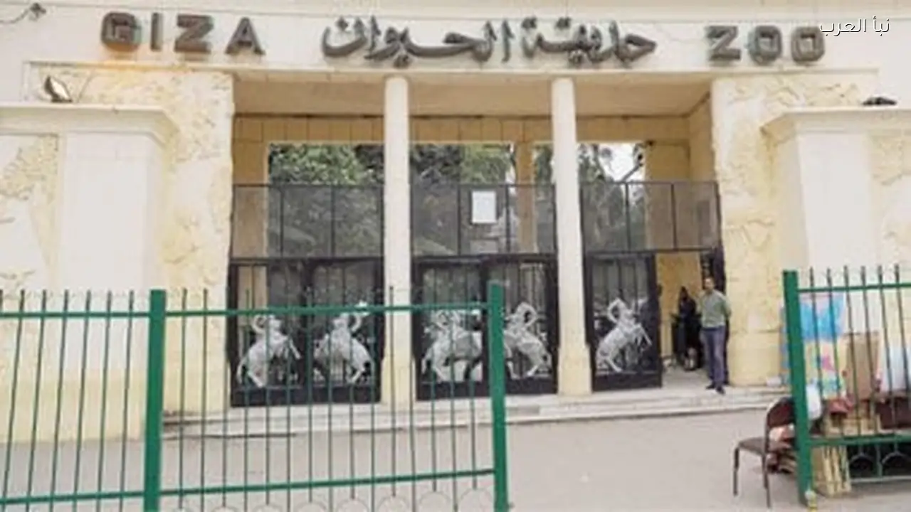 معدلات تنفيذ حديقة الحيوان والأورمان قبل عيد الفطر