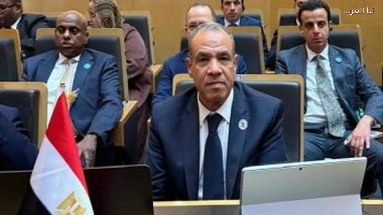 وزير الخارجية يتحدث أمام الاتحاد الأفريقي عن عضوية مجموعة العشرين
