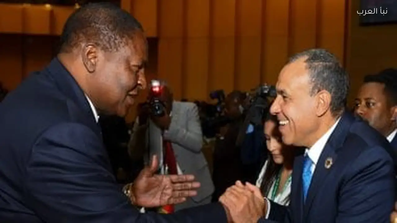 وزير الخارجية يجتمع برئيس جمهورية أفريقيا الوسطى ورئيس وزراء الكاميرون