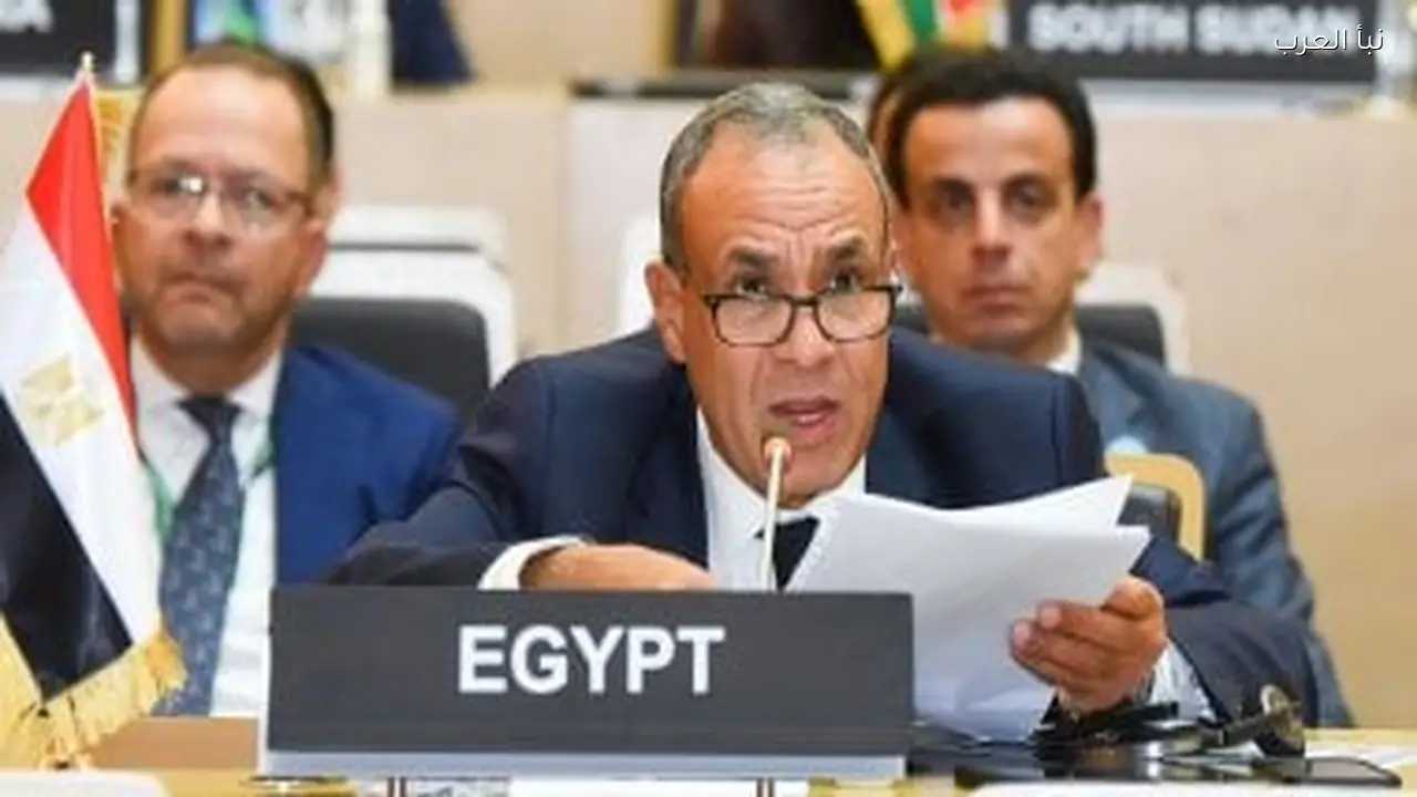 وزير الخارجية يقدم التقرير السنوي لمجلس السلم والأمن في الاتحاد الأفريقي