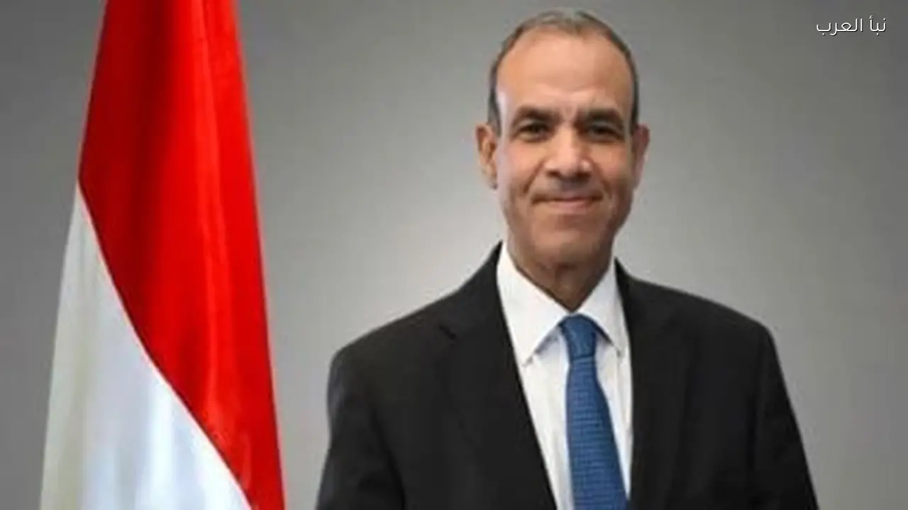 وزير الخارجية يلتقي ممثلي منظمات الاتحاد الأفريقي في مصر