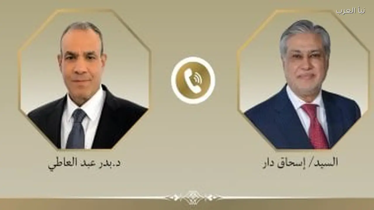 وزير الخارجية يناقش التطورات الإقليمية مع نظيره الباكستاني